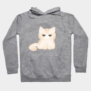 Cute little chonky angry cat Hoodie